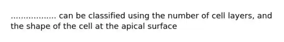 .................. can be classified using the number of cell layers, and the shape of the cell at the apical surface