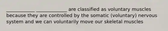 ____________ _____________ are classified as voluntary muscles because they are controlled by the somatic (voluntary) <a href='https://www.questionai.com/knowledge/kThdVqrsqy-nervous-system' class='anchor-knowledge'>nervous system</a> and we can voluntarily move our skeletal muscles