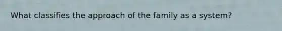 What classifies the approach of the family as a system?
