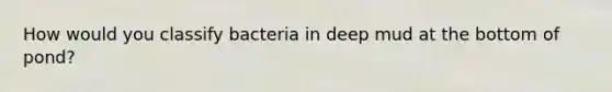 How would you classify bacteria in deep mud at the bottom of pond?