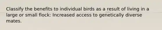 Classify the benefits to individual birds as a result of living in a large or small flock: Increased access to genetically diverse mates.