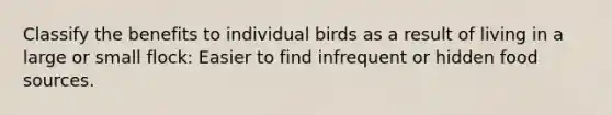 Classify the benefits to individual birds as a result of living in a large or small flock: Easier to find infrequent or hidden food sources.