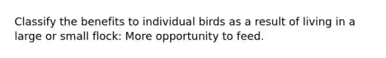 Classify the benefits to individual birds as a result of living in a large or small flock: More opportunity to feed.