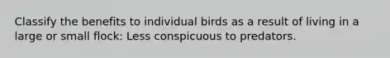 Classify the benefits to individual birds as a result of living in a large or small flock: Less conspicuous to predators.