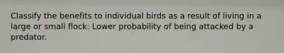 Classify the benefits to individual birds as a result of living in a large or small flock: Lower probability of being attacked by a predator.