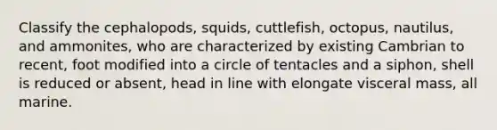 Classify the cephalopods, squids, cuttlefish, octopus, nautilus, and ammonites, who are characterized by existing Cambrian to recent, foot modified into a circle of tentacles and a siphon, shell is reduced or absent, head in line with elongate visceral mass, all marine.