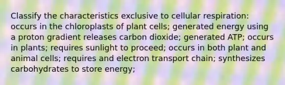 Classify the characteristics exclusive to cellular respiration: occurs in the chloroplasts of plant cells; generated energy using a proton gradient releases carbon dioxide; generated ATP; occurs in plants; requires sunlight to proceed; occurs in both plant and animal cells; requires and electron transport chain; synthesizes carbohydrates to store energy;