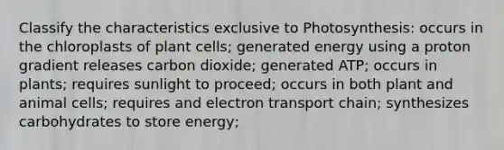 Classify the characteristics exclusive to Photosynthesis: occurs in the chloroplasts of plant cells; generated energy using a proton gradient releases carbon dioxide; generated ATP; occurs in plants; requires sunlight to proceed; occurs in both plant and animal cells; requires and electron transport chain; synthesizes carbohydrates to store energy;