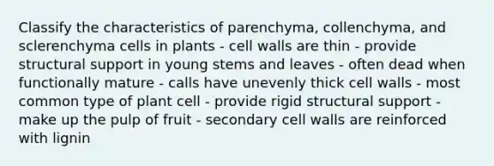 Classify the characteristics of parenchyma, collenchyma, and sclerenchyma cells in plants - cell walls are thin - provide structural support in young stems and leaves - often dead when functionally mature - calls have unevenly thick cell walls - most common type of plant cell - provide rigid structural support - make up the pulp of fruit - secondary cell walls are reinforced with lignin