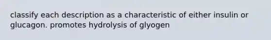 classify each description as a characteristic of either insulin or glucagon. promotes hydrolysis of glyogen