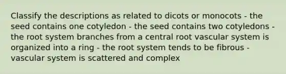 Classify the descriptions as related to dicots or monocots - the seed contains one cotyledon - the seed contains two cotyledons - the root system branches from a central root vascular system is organized into a ring - the root system tends to be fibrous - vascular system is scattered and complex