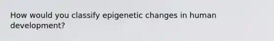 How would you classify epigenetic changes in human development?