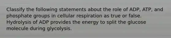 Classify the following statements about the role of ADP, ATP, and phosphate groups in <a href='https://www.questionai.com/knowledge/k1IqNYBAJw-cellular-respiration' class='anchor-knowledge'>cellular respiration</a> as true or false. Hydrolysis of ADP provides the energy to split the glucose molecule during glycolysis.