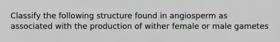 Classify the following structure found in angiosperm as associated with the production of wither female or male gametes