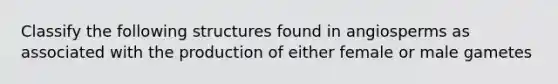 Classify the following structures found in angiosperms as associated with the production of either female or male gametes
