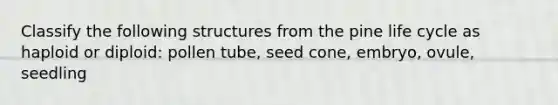 Classify the following structures from the pine life cycle as haploid or diploid: pollen tube, seed cone, embryo, ovule, seedling