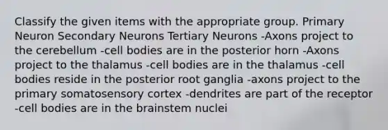 Classify the given items with the appropriate group. Primary Neuron Secondary Neurons Tertiary Neurons -Axons project to the cerebellum -cell bodies are in the posterior horn -Axons project to the thalamus -cell bodies are in the thalamus -cell bodies reside in the posterior root ganglia -axons project to the primary somatosensory cortex -dendrites are part of the receptor -cell bodies are in <a href='https://www.questionai.com/knowledge/kLMtJeqKp6-the-brain' class='anchor-knowledge'>the brain</a>stem nuclei