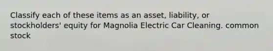 Classify each of these items as an asset, liability, or stockholders' equity for Magnolia Electric Car Cleaning. common stock