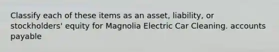 Classify each of these items as an asset, liability, or stockholders' equity for Magnolia Electric Car Cleaning. <a href='https://www.questionai.com/knowledge/kWc3IVgYEK-accounts-payable' class='anchor-knowledge'>accounts payable</a>