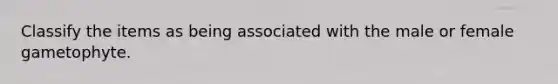 Classify the items as being associated with the male or female gametophyte.