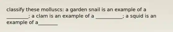 classify these molluscs: a garden snail is an example of a _________; a clam is an example of a ___________; a squid is an example of a________