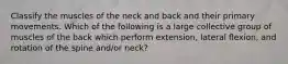 Classify the muscles of the neck and back and their primary movements. Which of the following is a large collective group of muscles of the back which perform extension, lateral flexion, and rotation of the spine and/or neck?