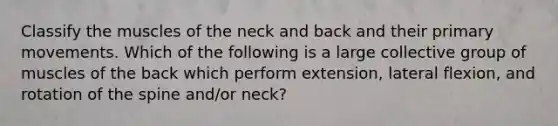 Classify the muscles of the neck and back and their primary movements. Which of the following is a large collective group of muscles of the back which perform extension, lateral flexion, and rotation of the spine and/or neck?