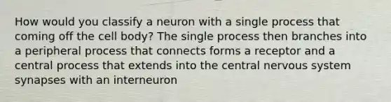 How would you classify a neuron with a single process that coming off the cell body? The single process then branches into a peripheral process that connects forms a receptor and a central process that extends into the central nervous system synapses with an interneuron