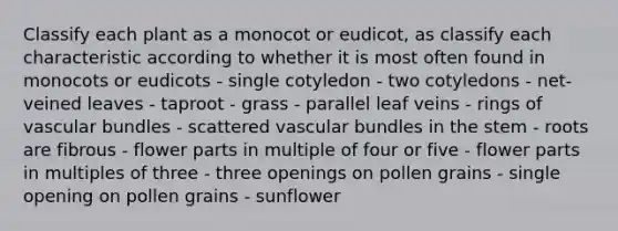 Classify each plant as a monocot or eudicot, as classify each characteristic according to whether it is most often found in monocots or eudicots - single cotyledon - two cotyledons - net-veined leaves - taproot - grass - parallel leaf veins - rings of vascular bundles - scattered vascular bundles in the stem - roots are fibrous - flower parts in multiple of four or five - flower parts in multiples of three - three openings on pollen grains - single opening on pollen grains - sunflower