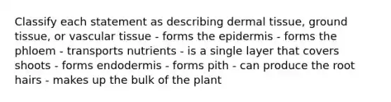 Classify each statement as describing <a href='https://www.questionai.com/knowledge/kRKdINDJId-dermal-tissue' class='anchor-knowledge'>dermal tissue</a>, <a href='https://www.questionai.com/knowledge/kb0kKBaH0H-ground-tissue' class='anchor-knowledge'>ground tissue</a>, or vascular tissue - forms <a href='https://www.questionai.com/knowledge/kBFgQMpq6s-the-epidermis' class='anchor-knowledge'>the epidermis</a> - forms the phloem - transports nutrients - is a single layer that covers shoots - forms endodermis - forms pith - can produce the root hairs - makes up the bulk of the plant