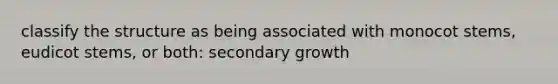 classify the structure as being associated with monocot stems, eudicot stems, or both: secondary growth