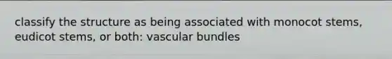 classify the structure as being associated with monocot stems, eudicot stems, or both: vascular bundles