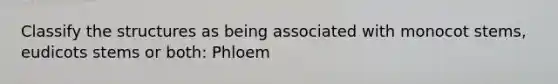 Classify the structures as being associated with monocot stems, eudicots stems or both: Phloem