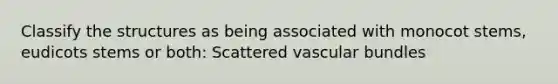 Classify the structures as being associated with monocot stems, eudicots stems or both: Scattered vascular bundles