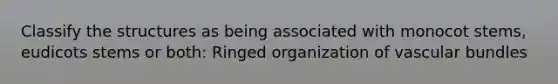 Classify the structures as being associated with monocot stems, eudicots stems or both: Ringed organization of vascular bundles