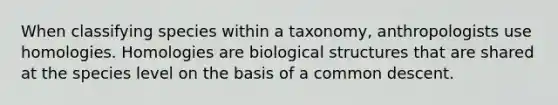 When classifying species within a taxonomy, anthropologists use homologies. Homologies are biological structures that are shared at the species level on the basis of a common descent.