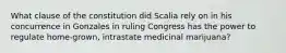 What clause of the constitution did Scalia rely on in his concurrence in Gonzales in ruling Congress has the power to regulate home-grown, intrastate medicinal marijuana?