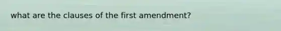 what are the clauses of the first amendment?