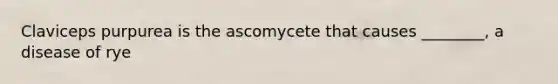 Claviceps purpurea is the ascomycete that causes ________, a disease of rye