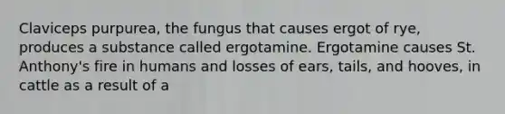 Claviceps purpurea, the fungus that causes ergot of rye, produces a substance called ergotamine. Ergotamine causes St. Anthony's fire in humans and losses of ears, tails, and hooves, in cattle as a result of a