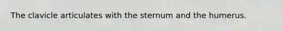 The clavicle articulates with the sternum and the humerus.