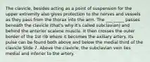 The clavicle, besides acting as a point of suspension for the upper extremity also gives protection to the nerves and vessels as they pass from the thorax into the arm. The ___ _____ passes beneath the clavicle (that's why it's called subclavian) and behind the anterior scalene muscle. It then crosses the outer border of the 1st rib where it becomes the axillary artery. Its pulse can be found both above and below the medial third of the clavicle Slide 7. Above the clavicle, the subclavian vein lies medial and inferior to the artery.