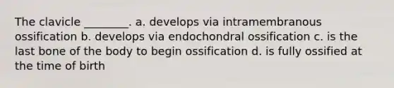 The clavicle ________. a. develops via intramembranous ossification b. develops via endochondral ossification c. is the last bone of the body to begin ossification d. is fully ossified at the time of birth