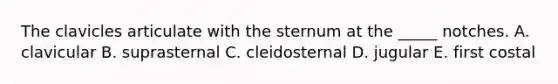 The clavicles articulate with the sternum at the _____ notches. A. clavicular B. suprasternal C. cleidosternal D. jugular E. first costal