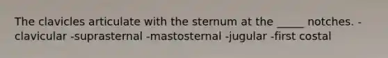 The clavicles articulate with the sternum at the _____ notches. -clavicular -suprasternal -mastosternal -jugular -first costal