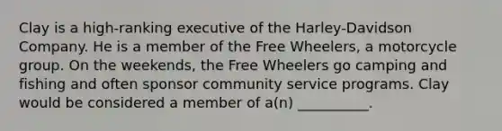 Clay is a high-ranking executive of the Harley-Davidson Company. He is a member of the Free Wheelers, a motorcycle group. On the weekends, the Free Wheelers go camping and fishing and often sponsor community service programs. Clay would be considered a member of a(n) __________.