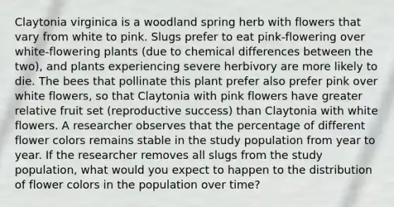 Claytonia virginica is a woodland spring herb with flowers that vary from white to pink. Slugs prefer to eat pink-flowering over white-flowering plants (due to chemical differences between the two), and plants experiencing severe herbivory are more likely to die. The bees that pollinate this plant prefer also prefer pink over white flowers, so that Claytonia with pink flowers have greater relative fruit set (reproductive success) than Claytonia with white flowers. A researcher observes that the percentage of different flower colors remains stable in the study population from year to year. If the researcher removes all slugs from the study population, what would you expect to happen to the distribution of flower colors in the population over time?