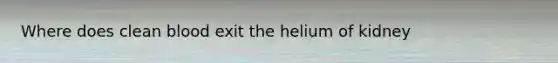 Where does clean blood exit the helium of kidney