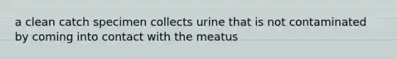 a clean catch specimen collects urine that is not contaminated by coming into contact with the meatus