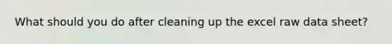 What should you do after cleaning up the excel raw data sheet?
